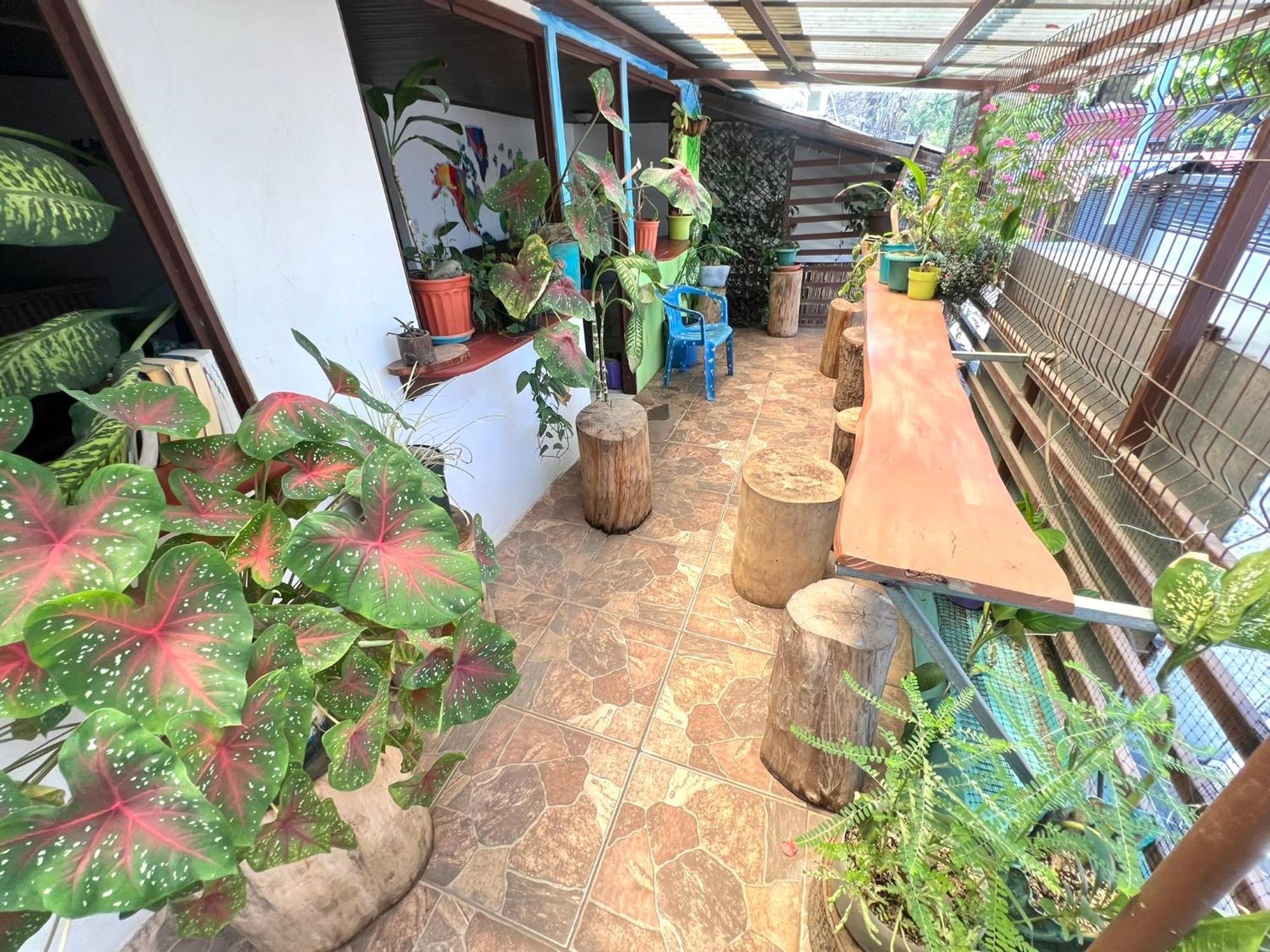 Passifloras Hostel Quepos Eksteriør billede
